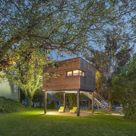 Appartamento Baumhaus Im Vogelgesang Heuchelheim-Klingen Esterno foto